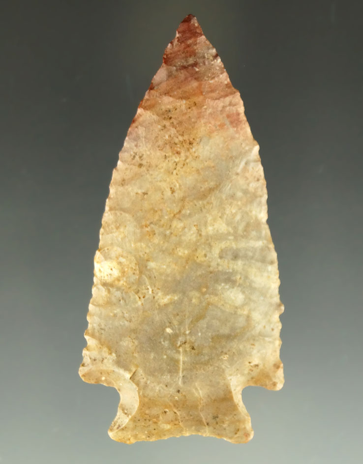 Main artifact image