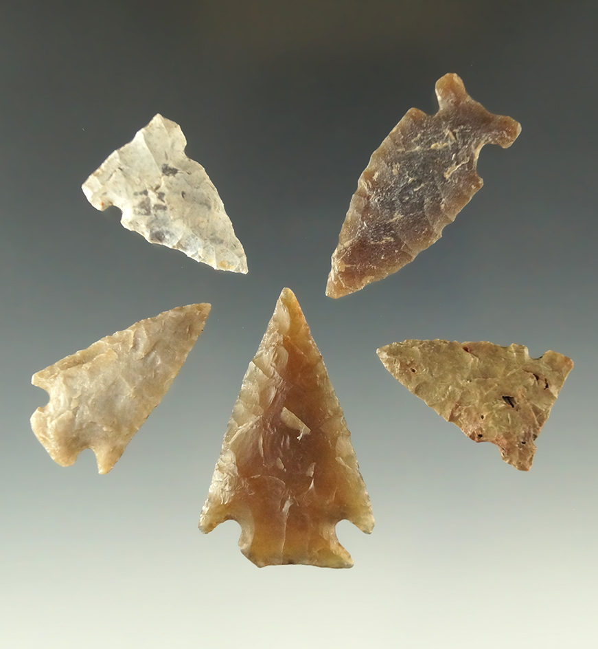 Main artifact image