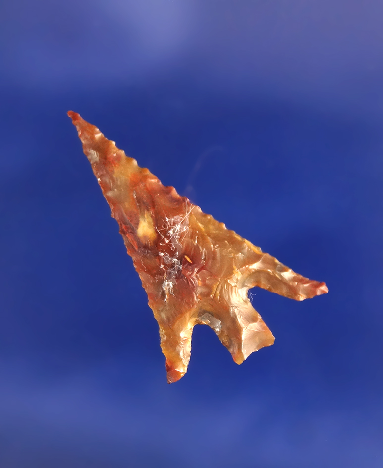 1 1/16" Columbia Plateau with nice swept wings.  Wishram area of the Columbia River.