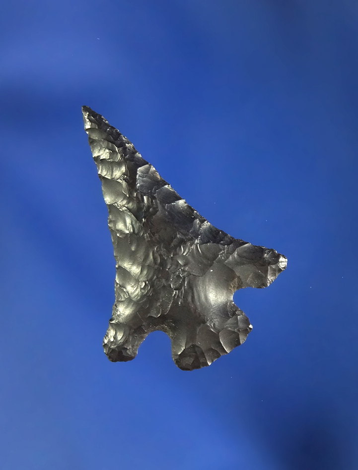 1" Columbia Plateau found in Oregon.