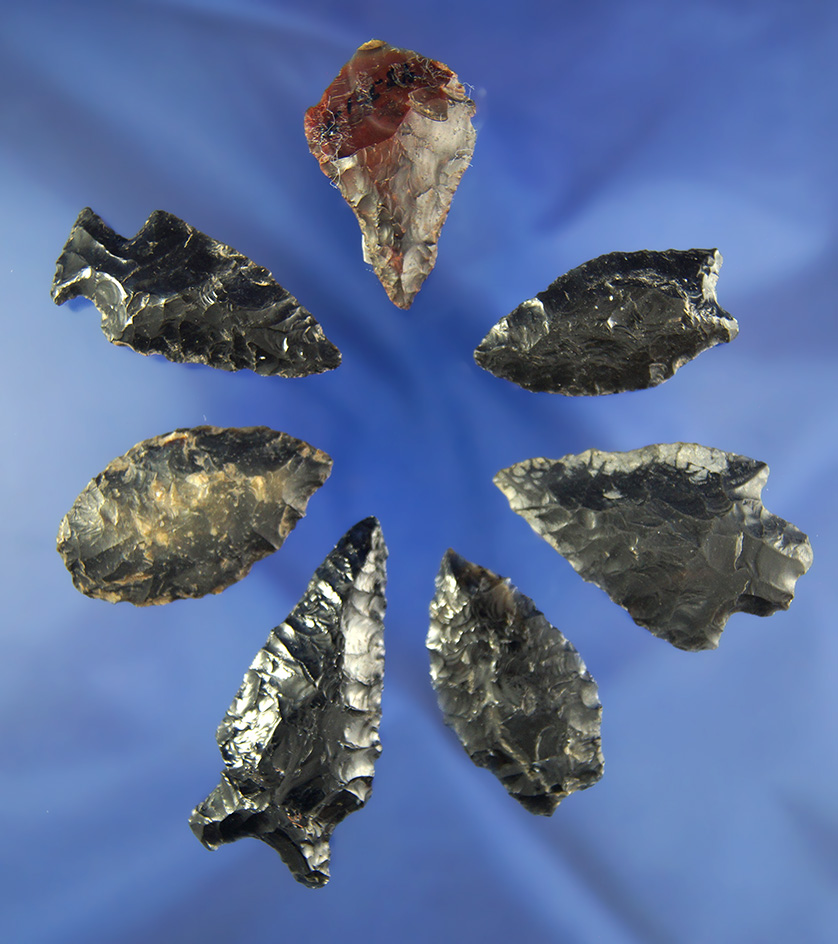 Set of seven assorted Great Basin Obsidian arrowheads, largest is 1 7/8".