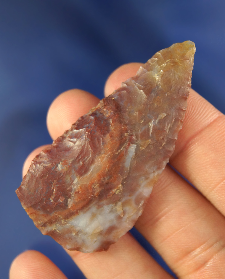 Beautifully colored 2 3/16" Blade found near the mid-Columbia River. Ex. Gene Favell  collection.