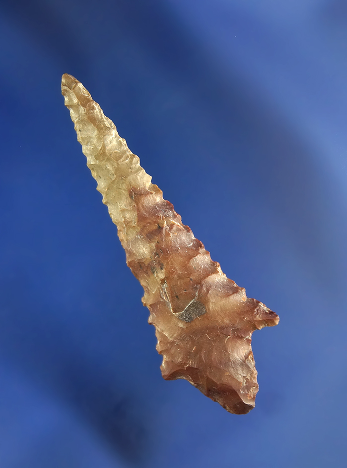 Well styled 1 3/4" Rabbit Island found near the Columbia River. Ex. Tom Davis.