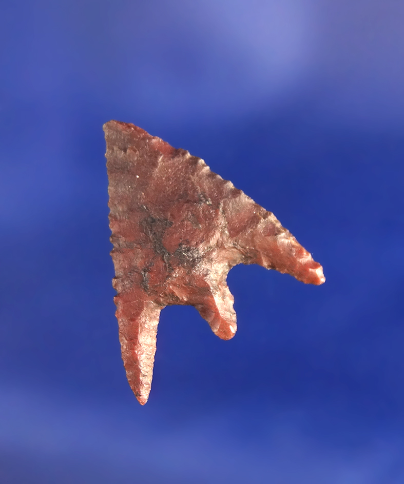 15/16" brown Jasper Gunther in excellent condition found in Oregon.