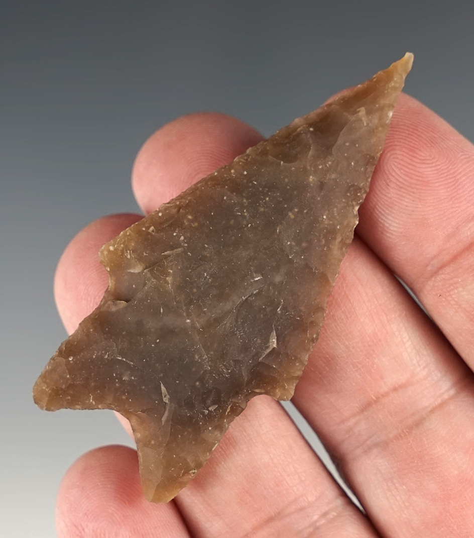 Outstanding 2 9/16" Pedernales found in Burnet Co., Texas. Comes with a Rogers COA.