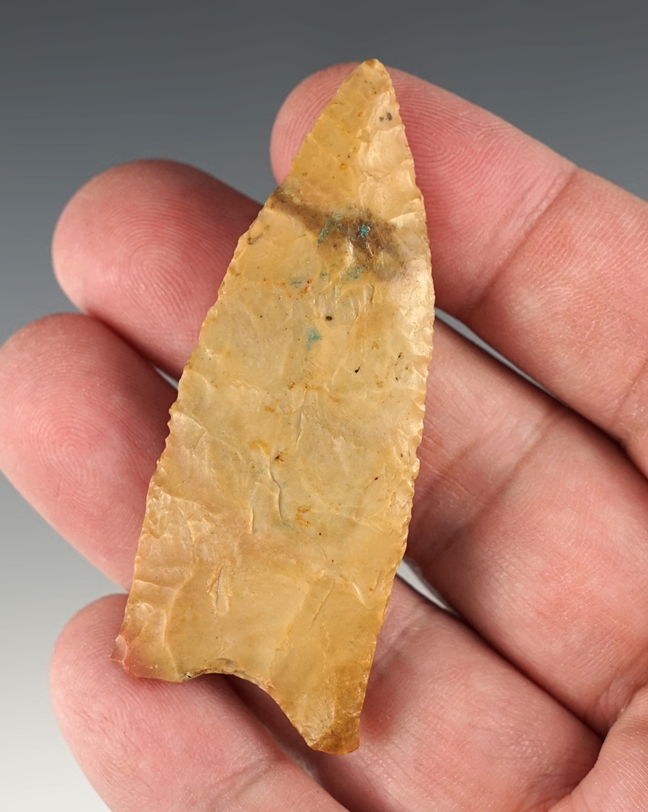 Main artifact image