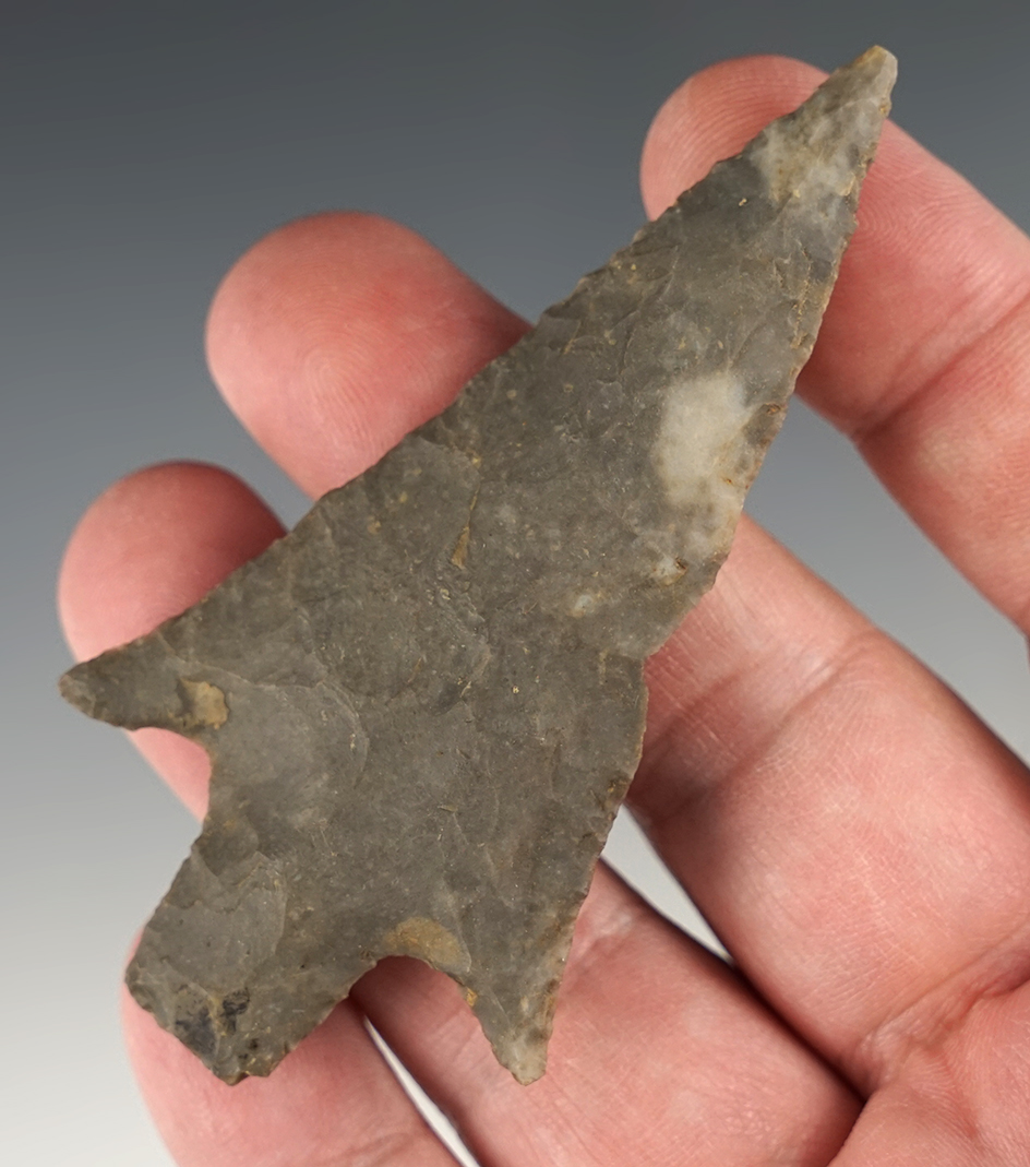 3 5/16" Langtry found in Travis Co., Texas. Ex. Sizemore, Perino collections. Partain COA.