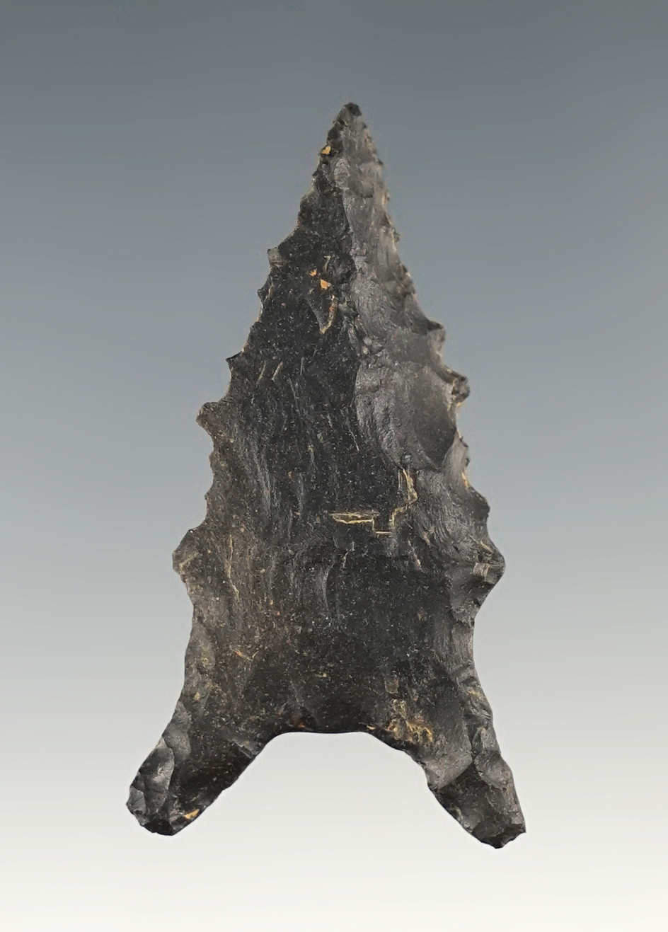 Main artifact image