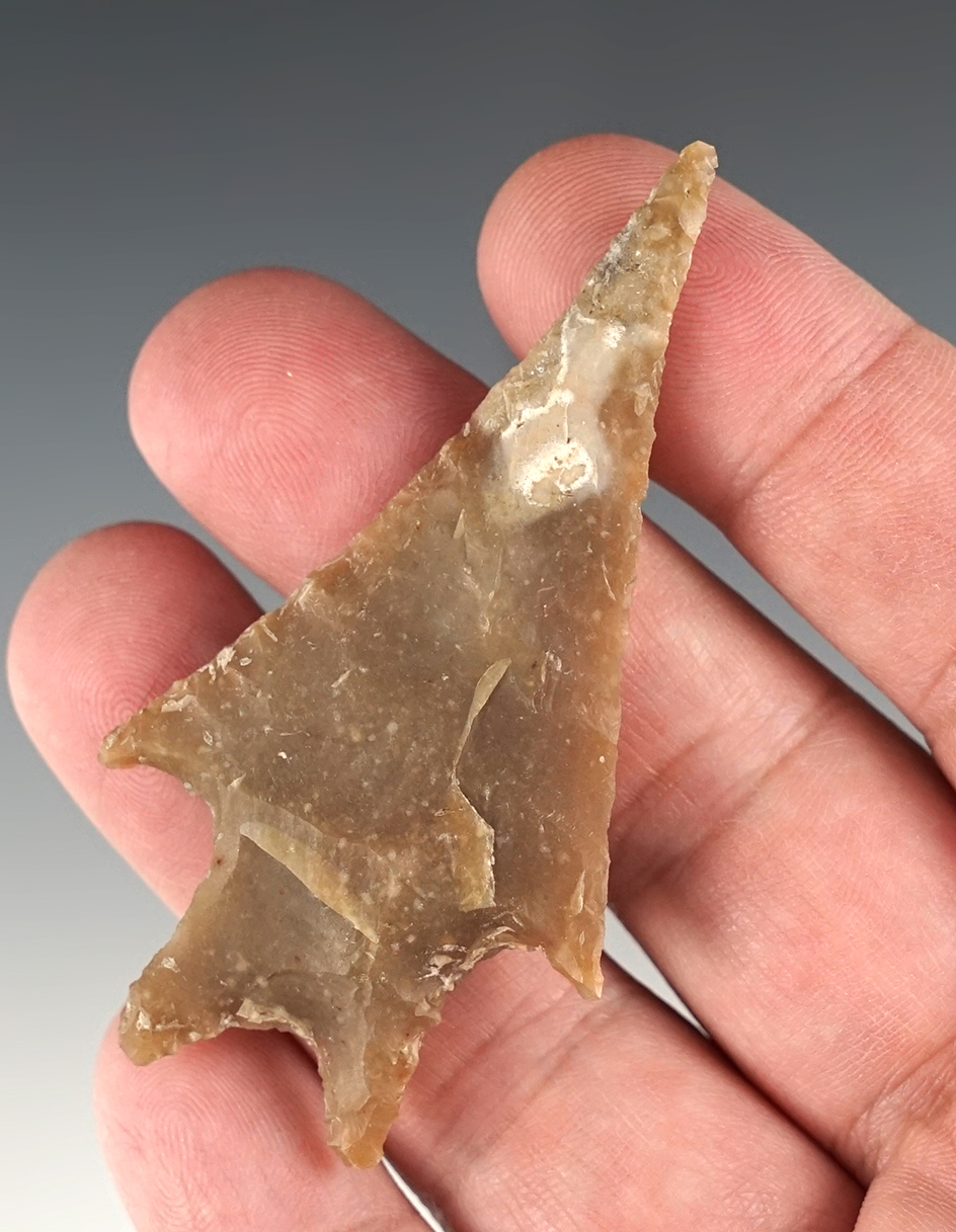 Well made 2 13/16" Pedernales found in Kerr Co., Texas. Ex. Bill Arnold. Rogers COA.