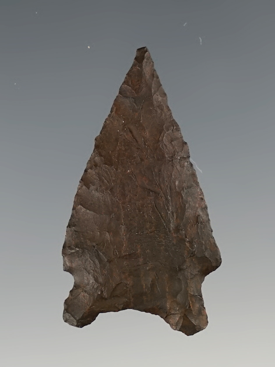 Well made 1 1/2" San Patrice found in Sabine Co., Texas near the Sabine River. Partain COA.
