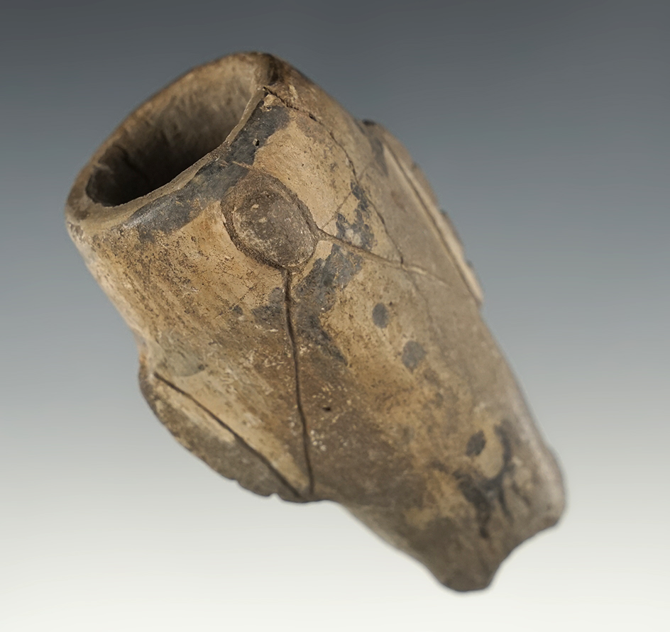 Main artifact image