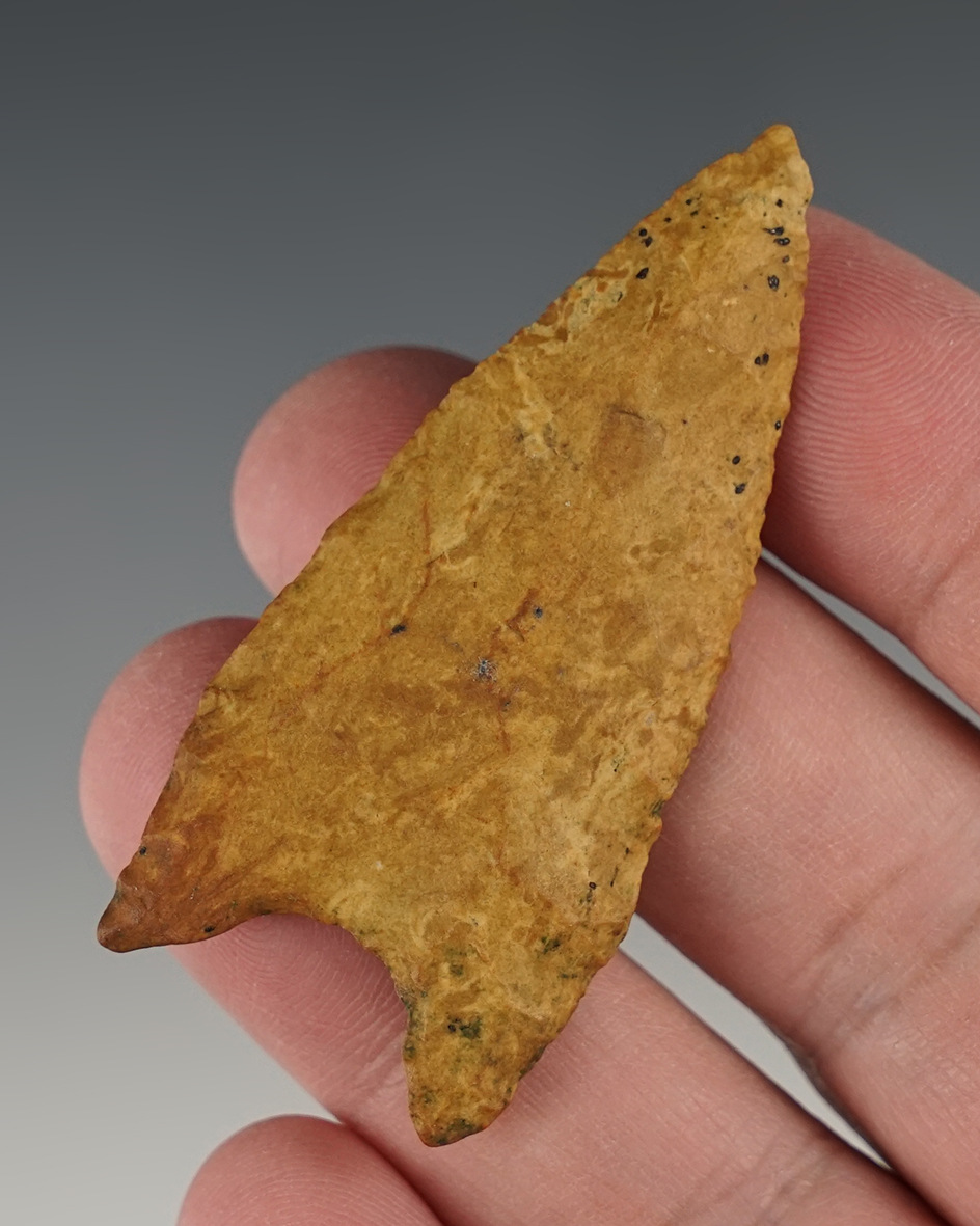 Main artifact image