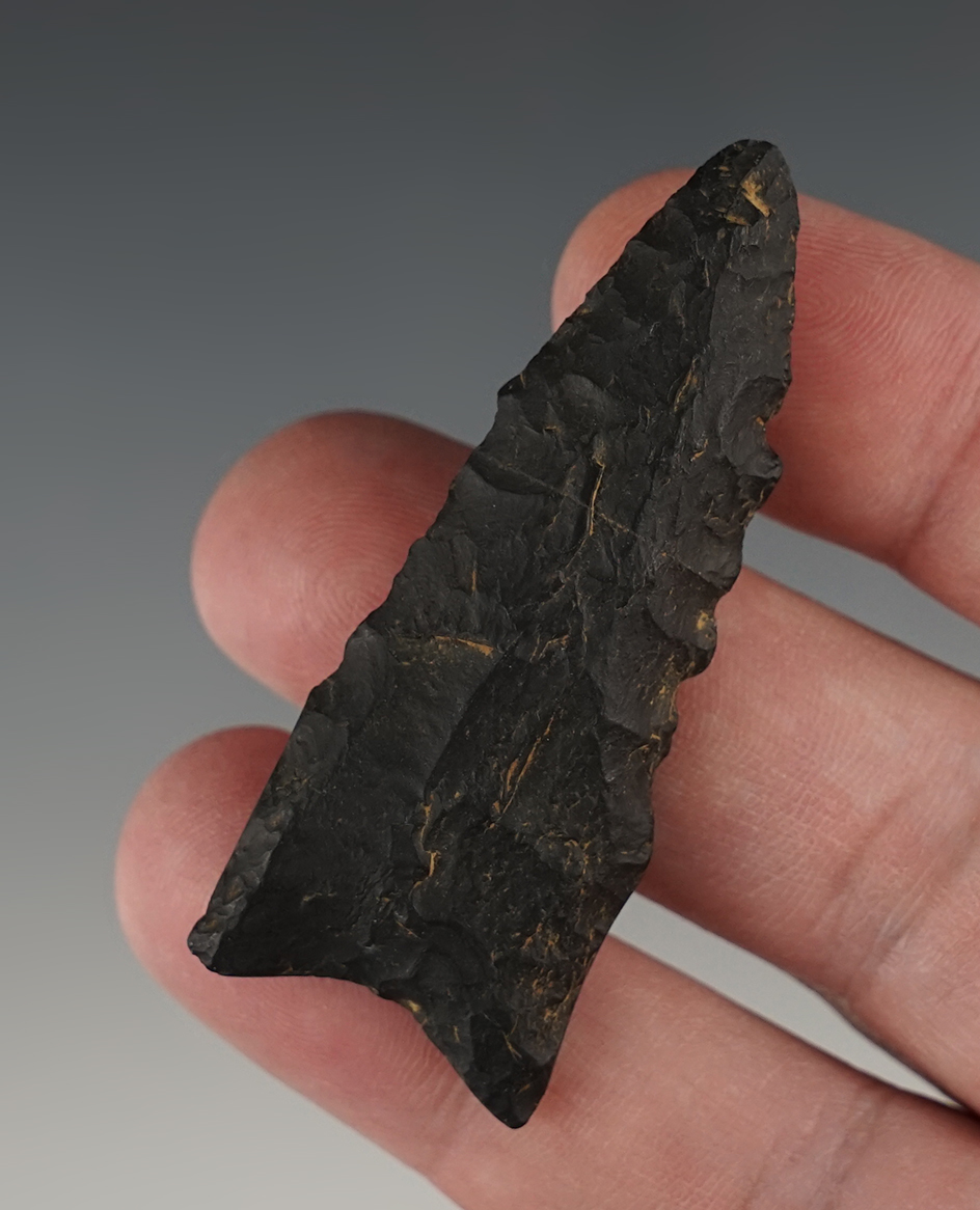 Main artifact image