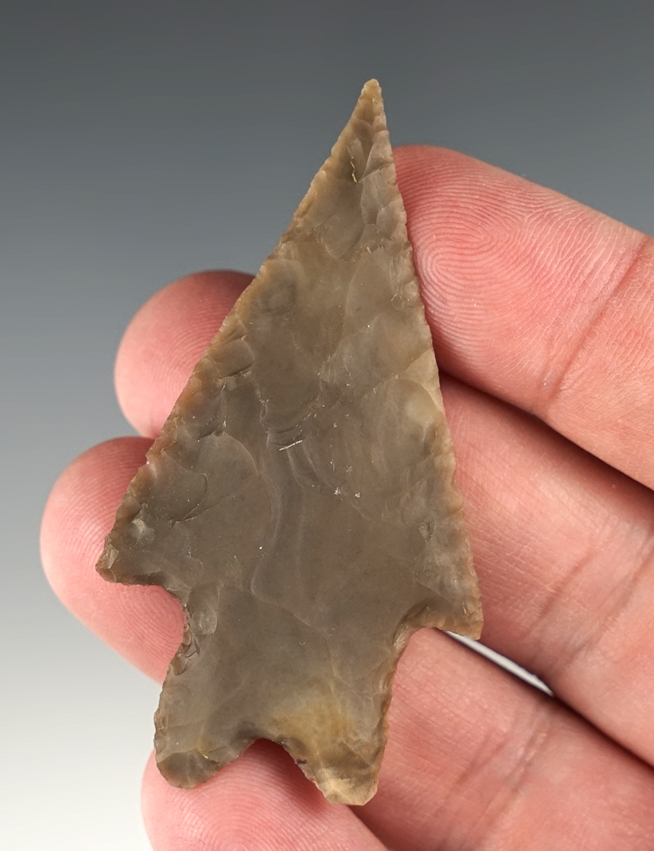 Nicely styled 2 1/2" Pedernales found in Bandera Co., Texas. Comes with a Rogers COA.