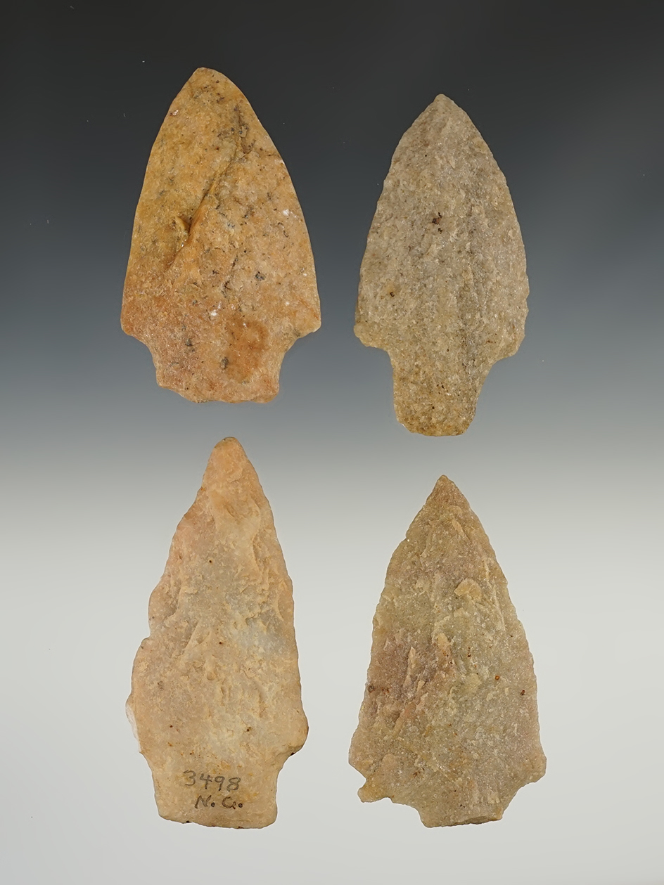 Main artifact image