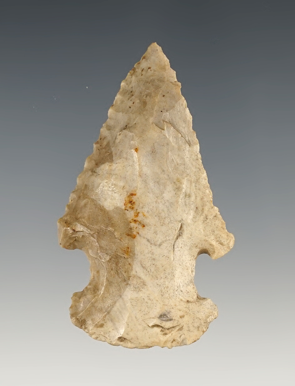 2 5/16" Archaic Bevel found in Sulivan Co., Indiana. Ex. Chalmer Lynch and J. W. McManus.