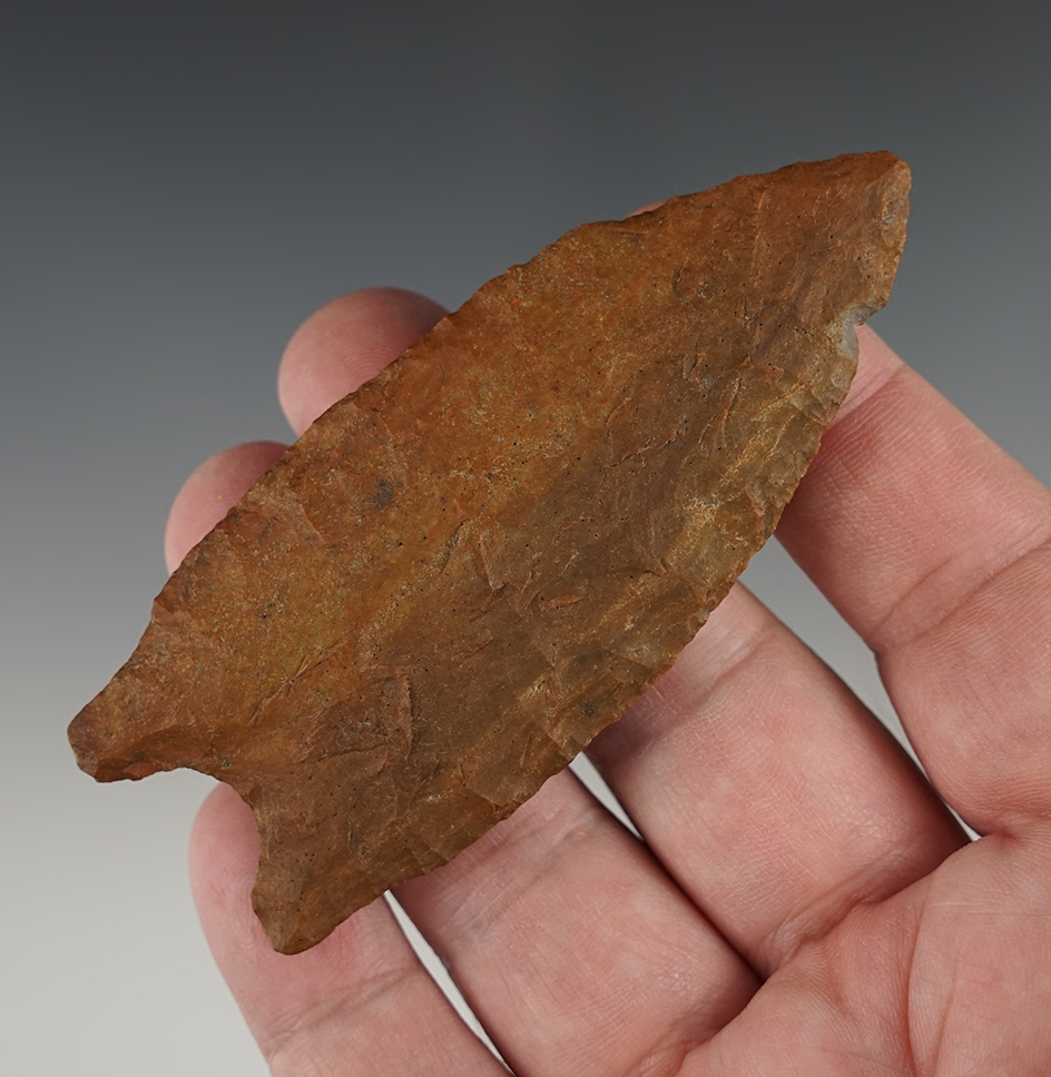 Main artifact image