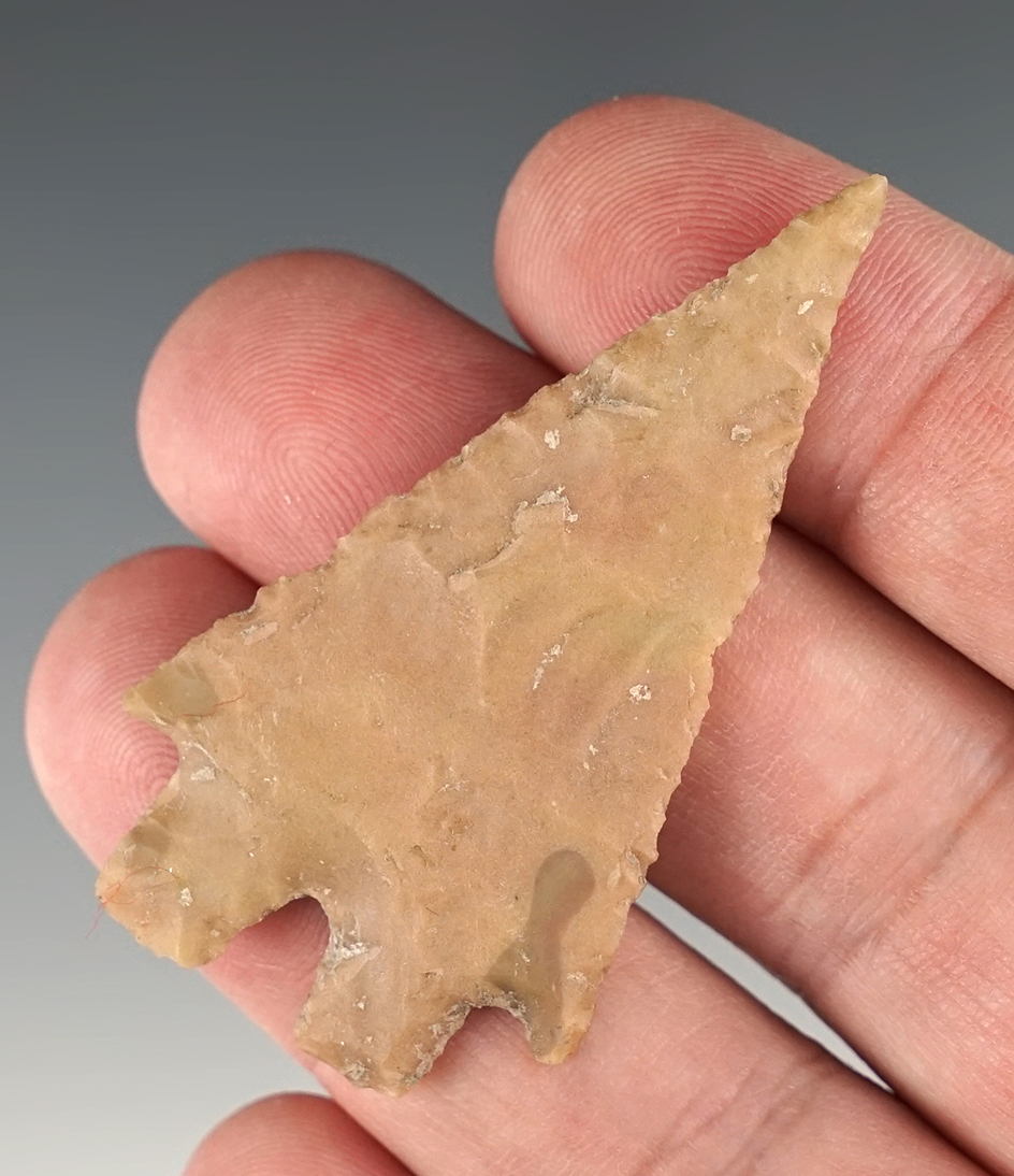 Thin and well made 2 3/16" Montell found in Kerr Co., Texas. Comes with a Rogers COA.