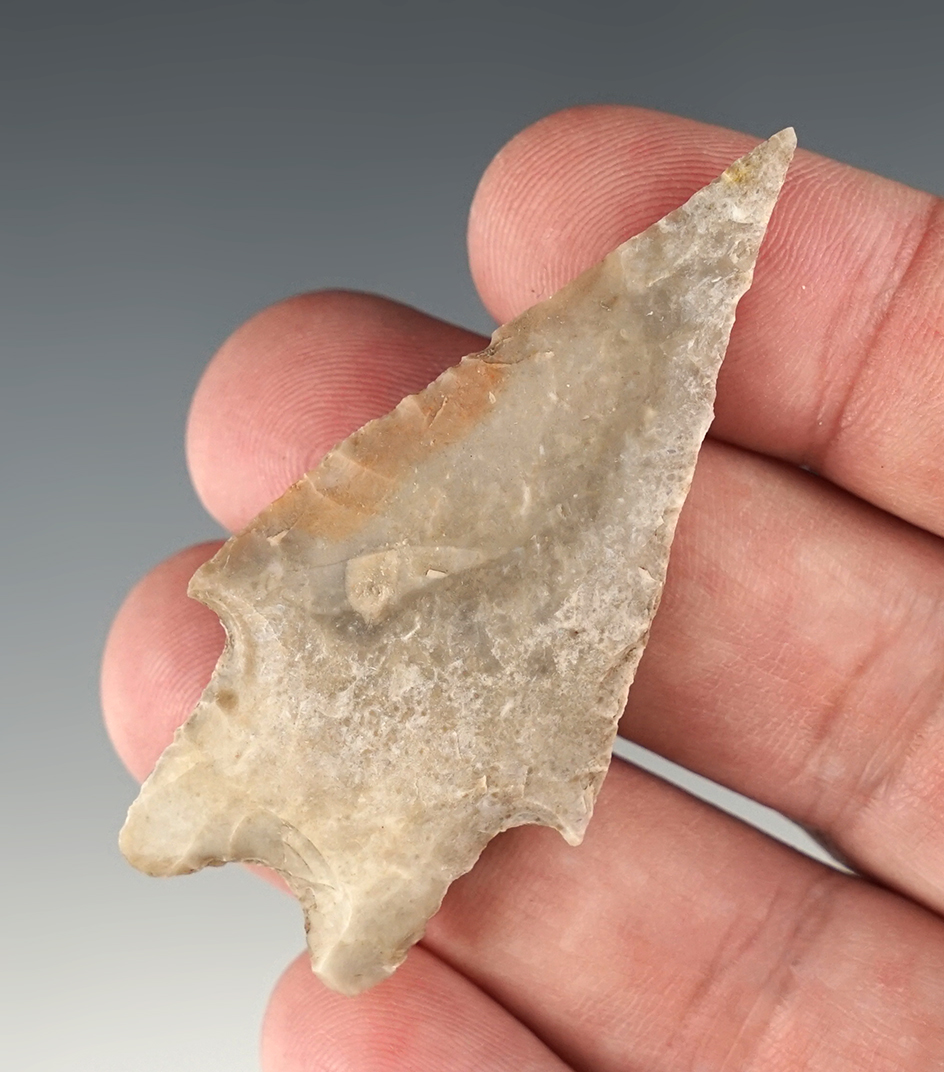 2 3/8" Pedernales found in Gillespie Co., Texas. Comes with a Rogers COA.