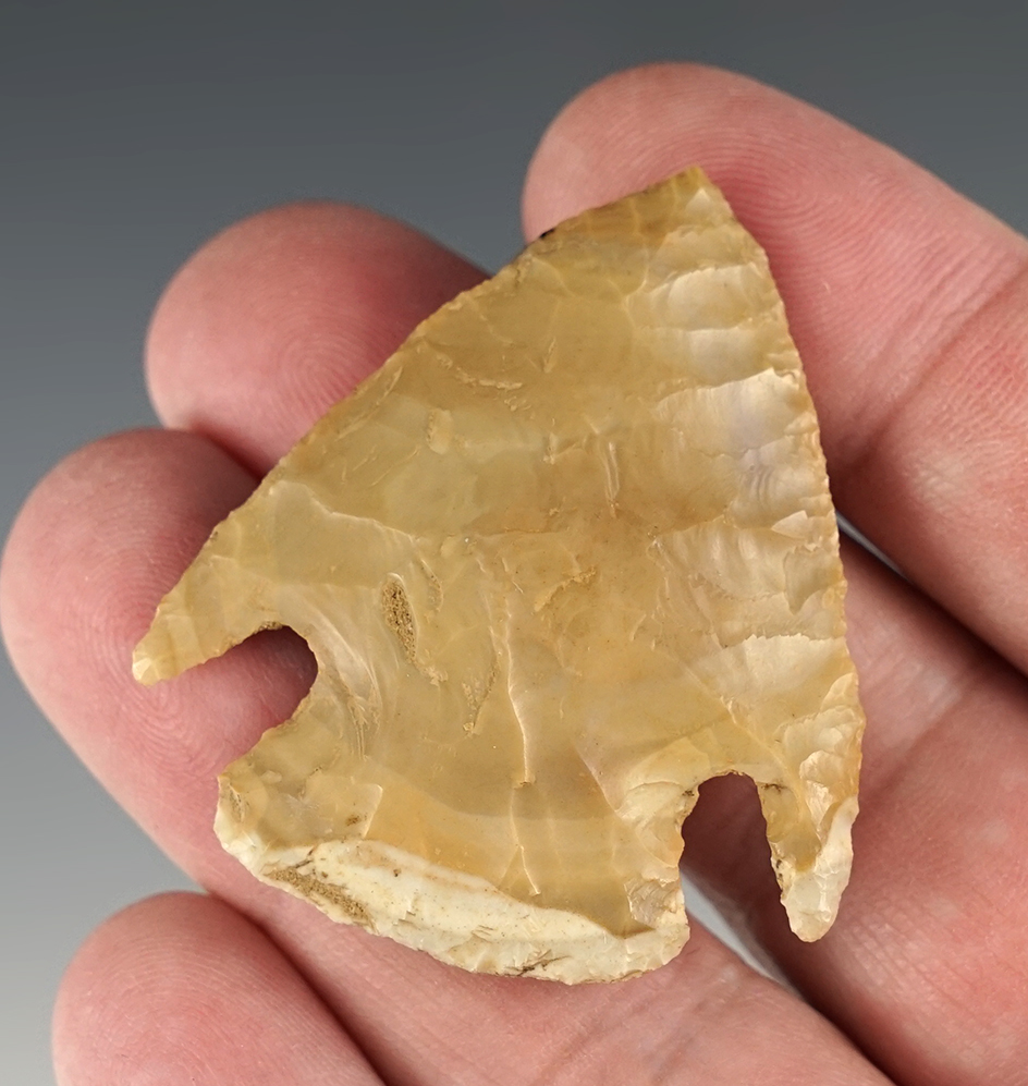 Main artifact image