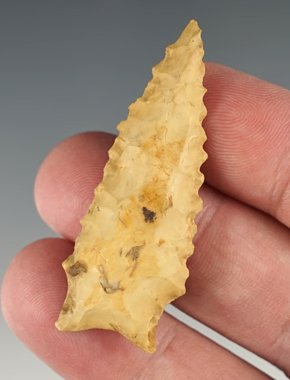 Main artifact image