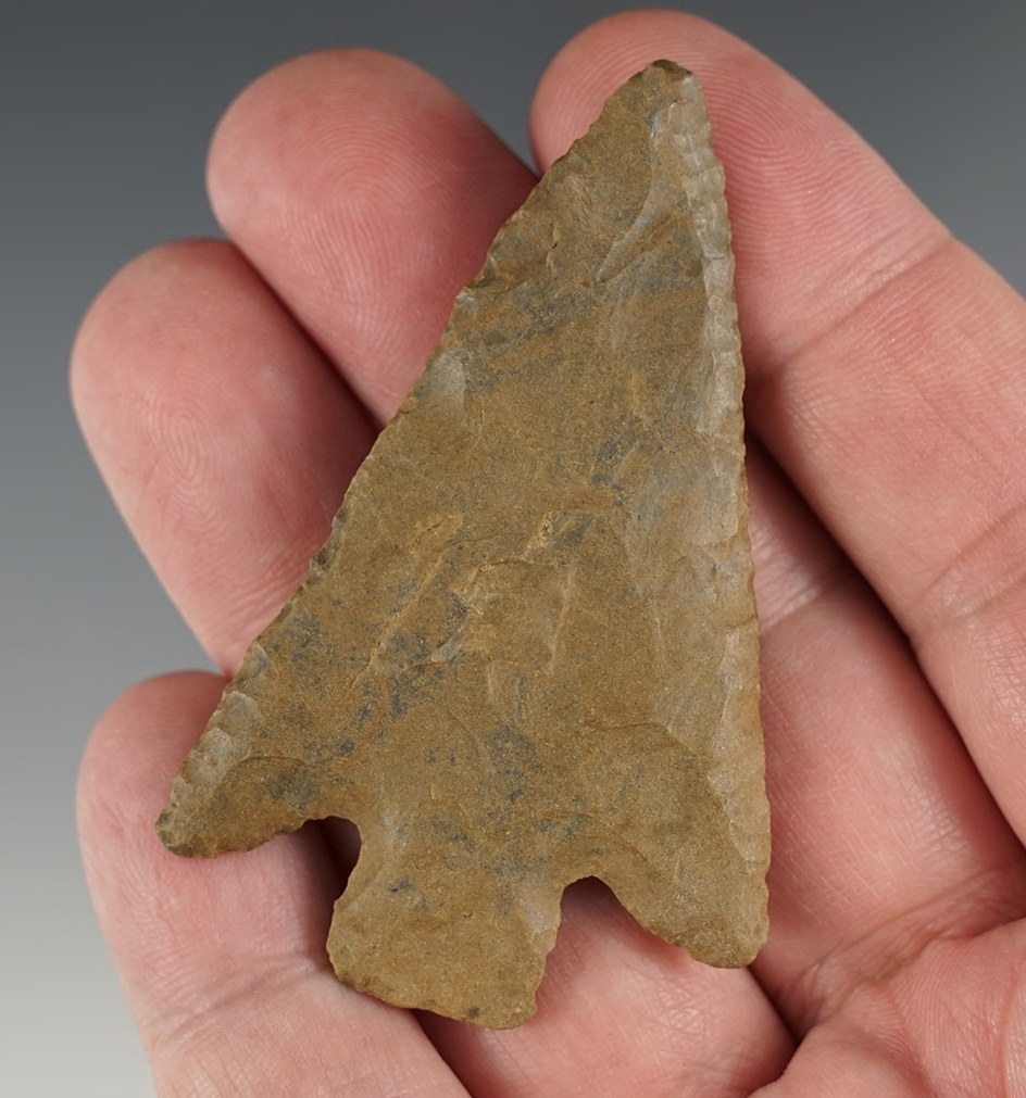 Main artifact image