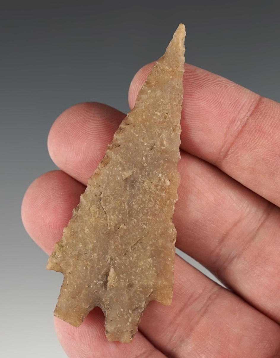 2 13/16" Montell that is well patinated. Found in Real Co., Texas. Comes with a Rogers COA.