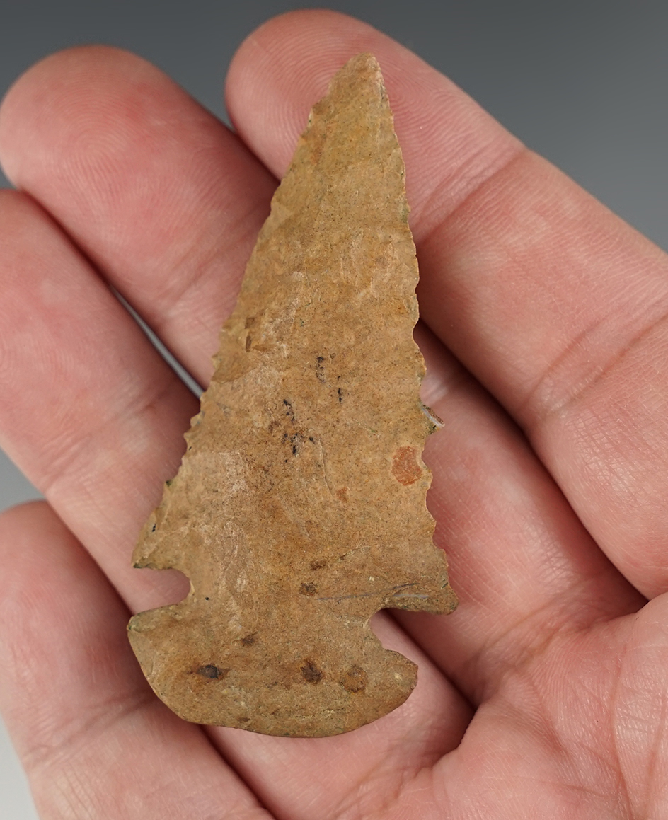2 9/16" Beveled Dovetail that is heavily patinated. Found in Williams Co., Illinois.