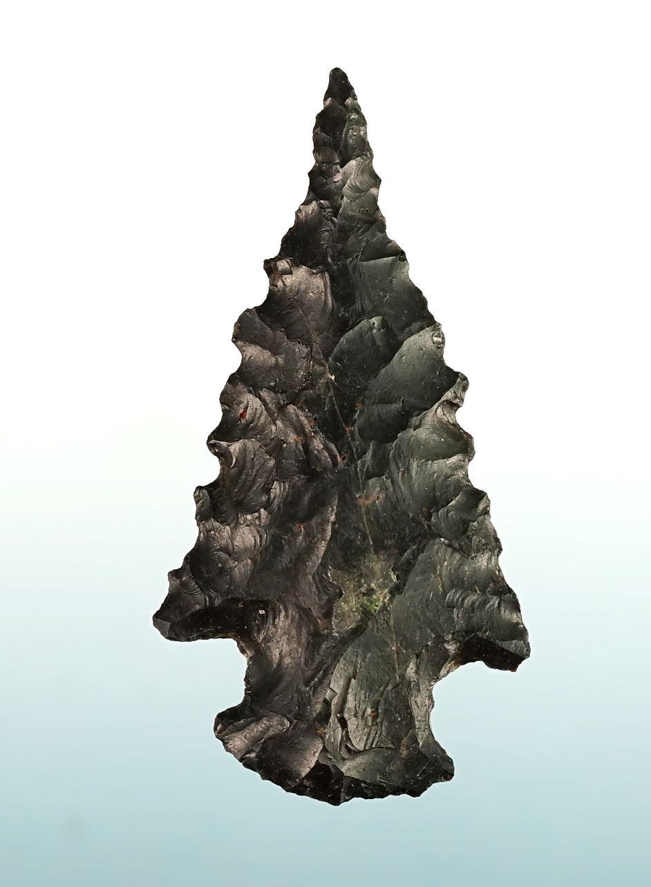 Main artifact image