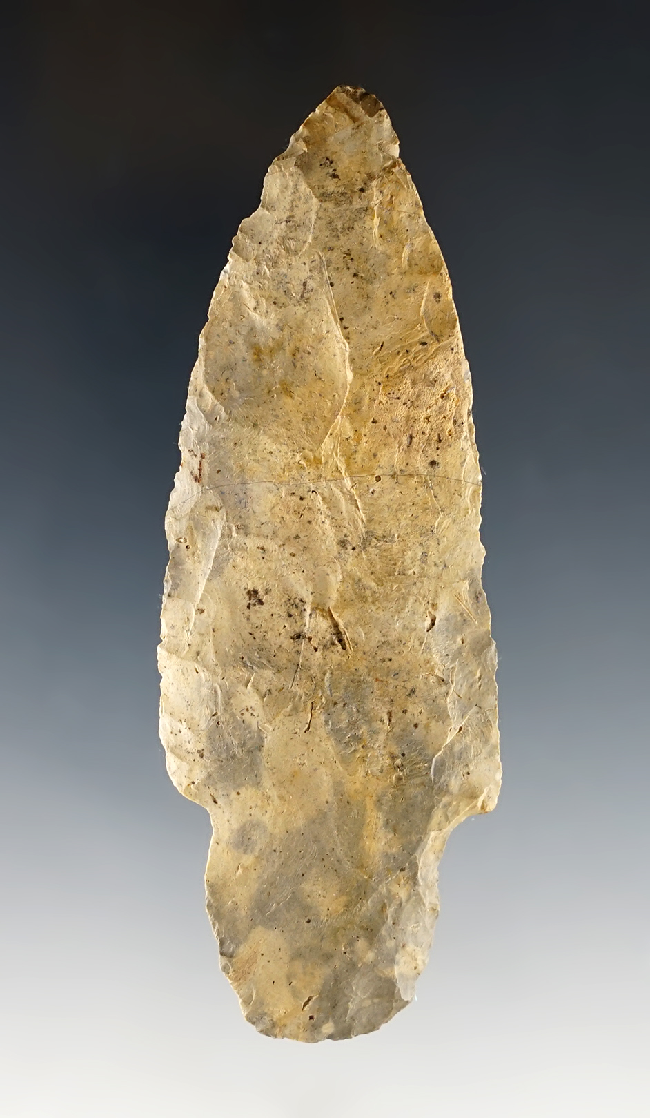 Main artifact image