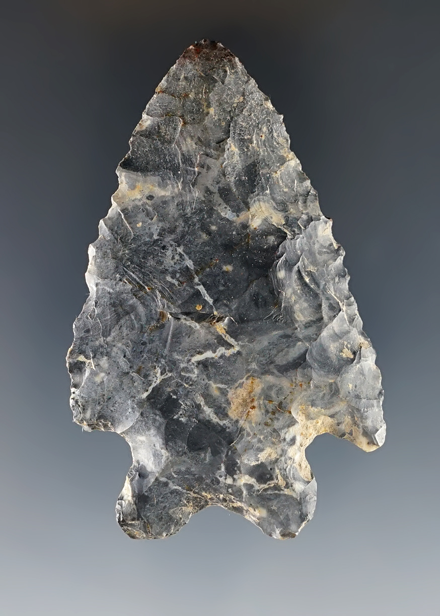 Main artifact image