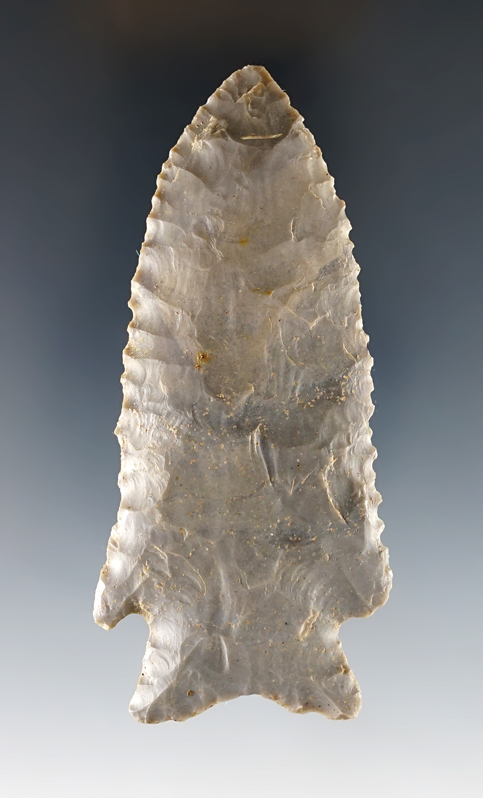 Main artifact image