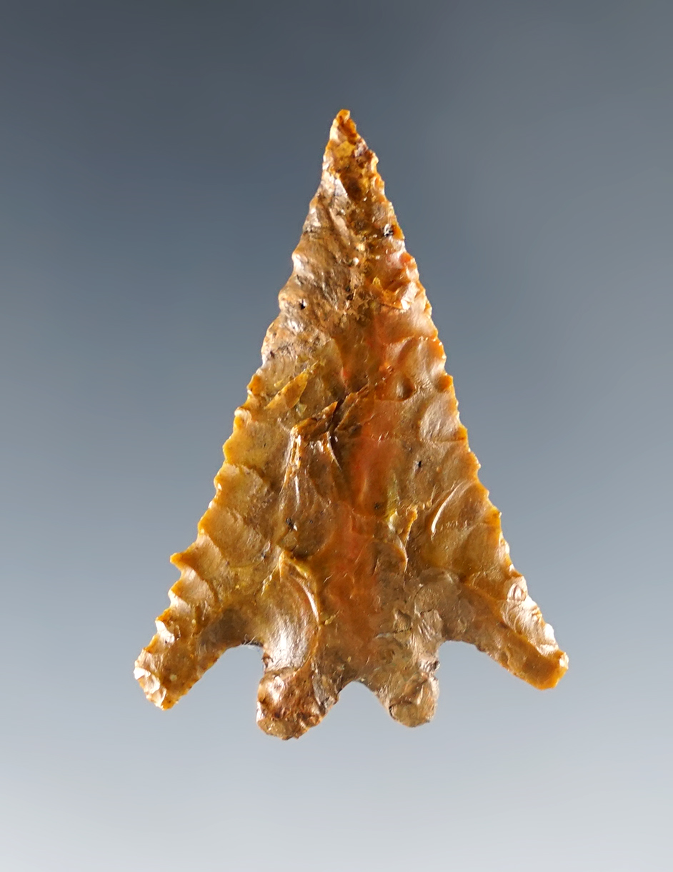Main artifact image