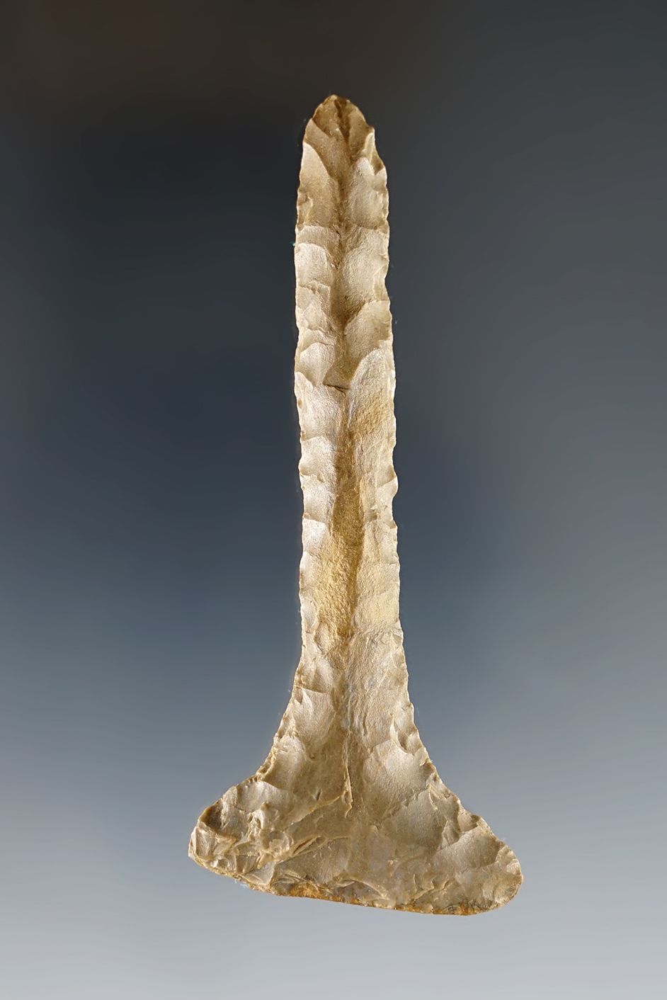 Main artifact image