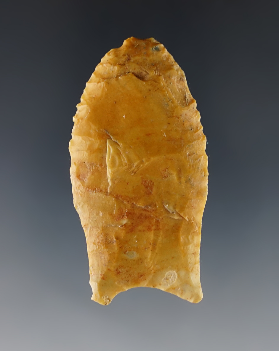 Main artifact image
