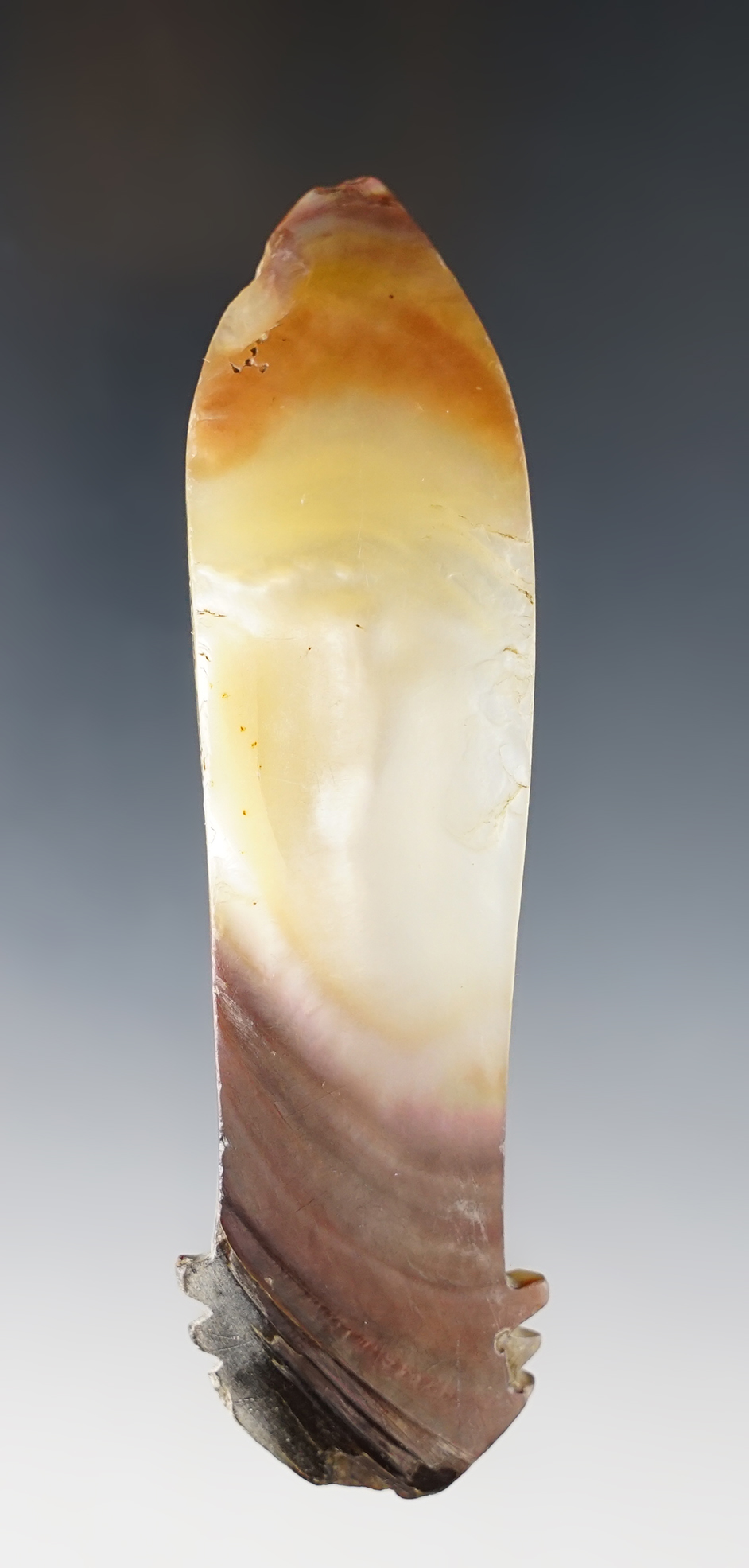 Main artifact image