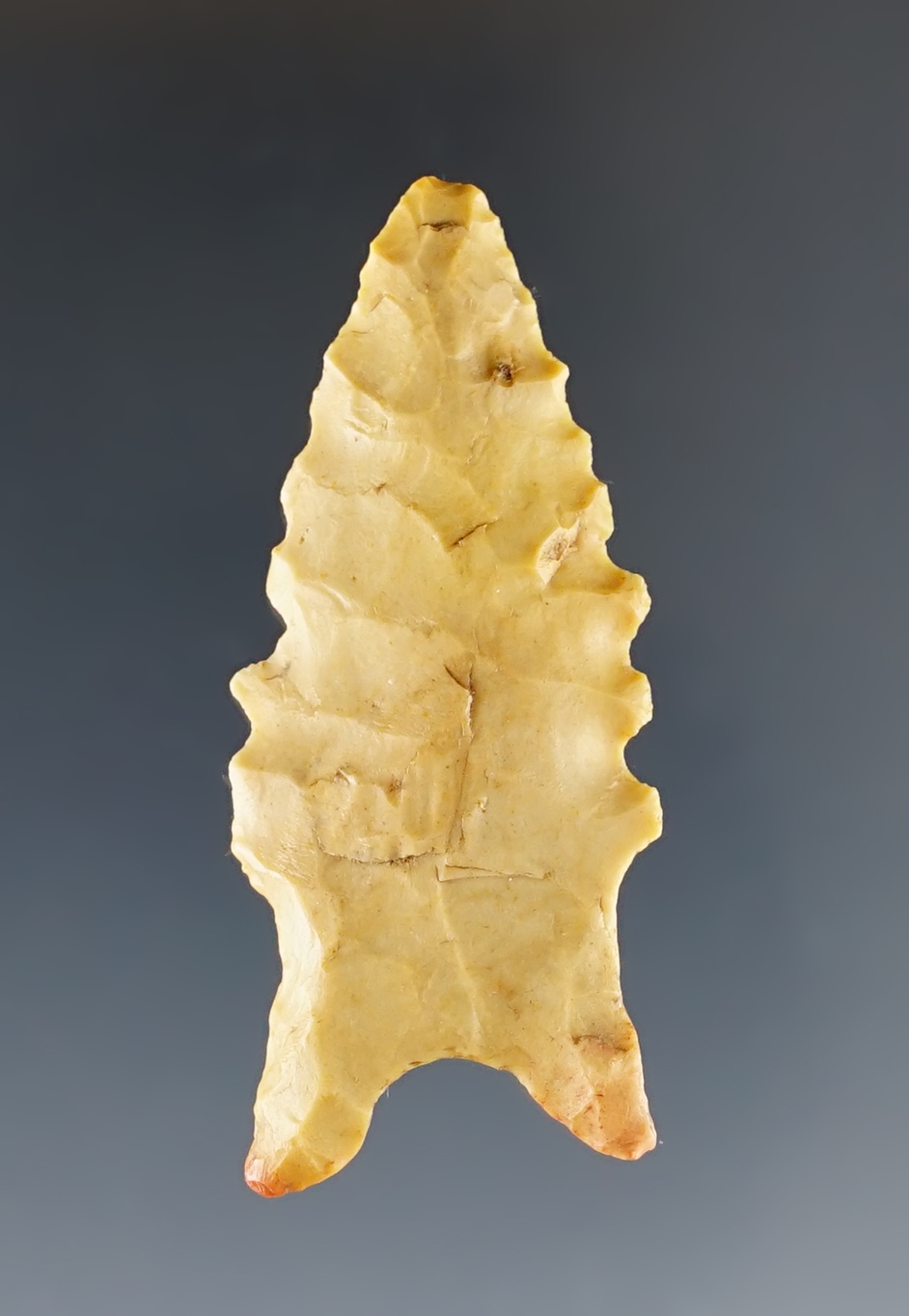 Main artifact image