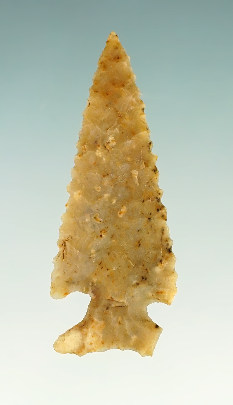 Main artifact image