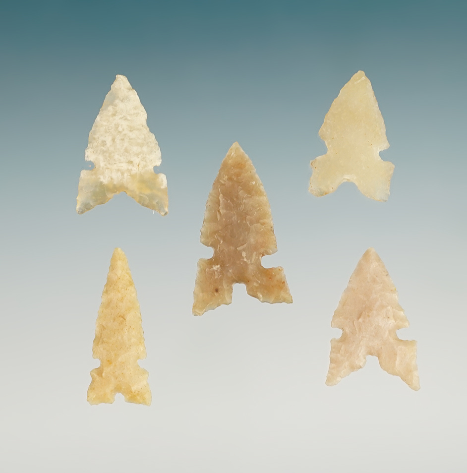 Main artifact image