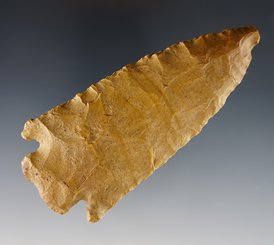 Main artifact image