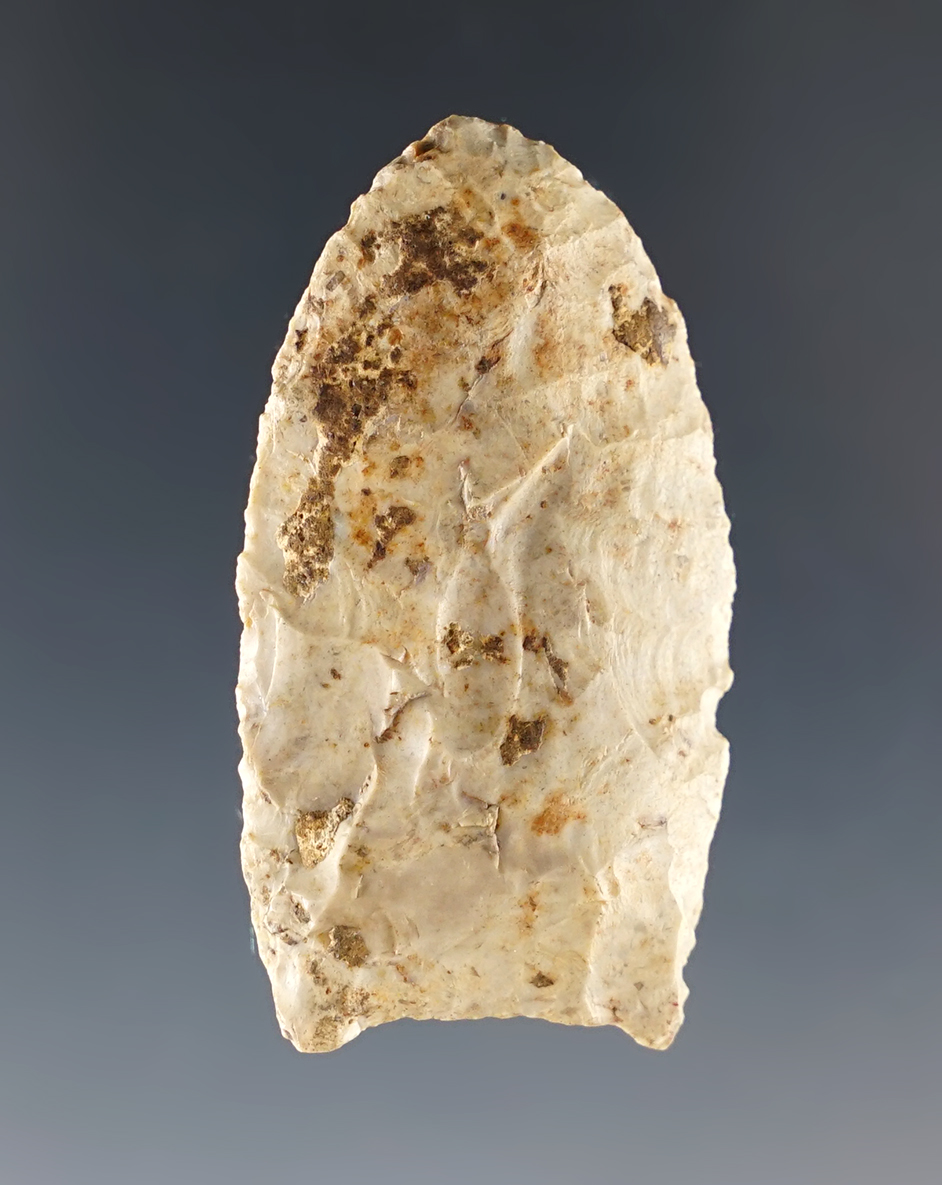 Main artifact image