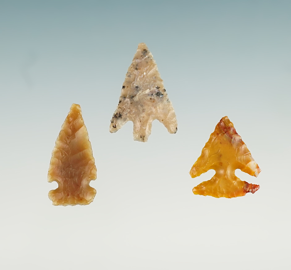 Main artifact image