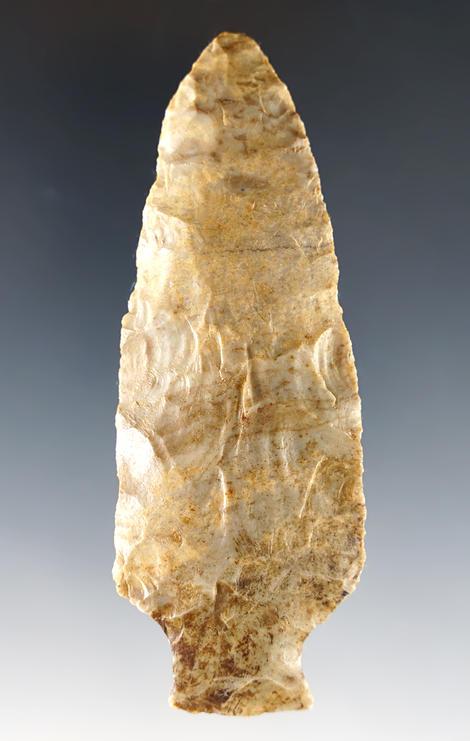 Main artifact image