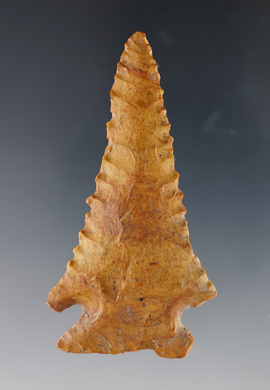 Main artifact image