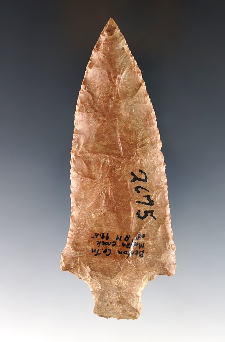 Main artifact image
