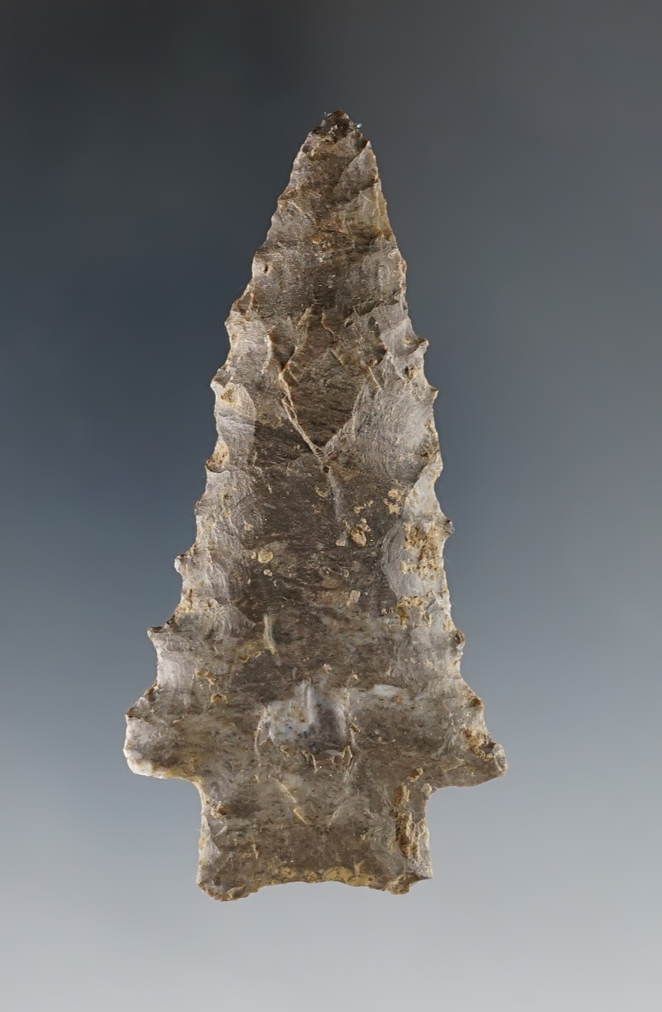 Main artifact image