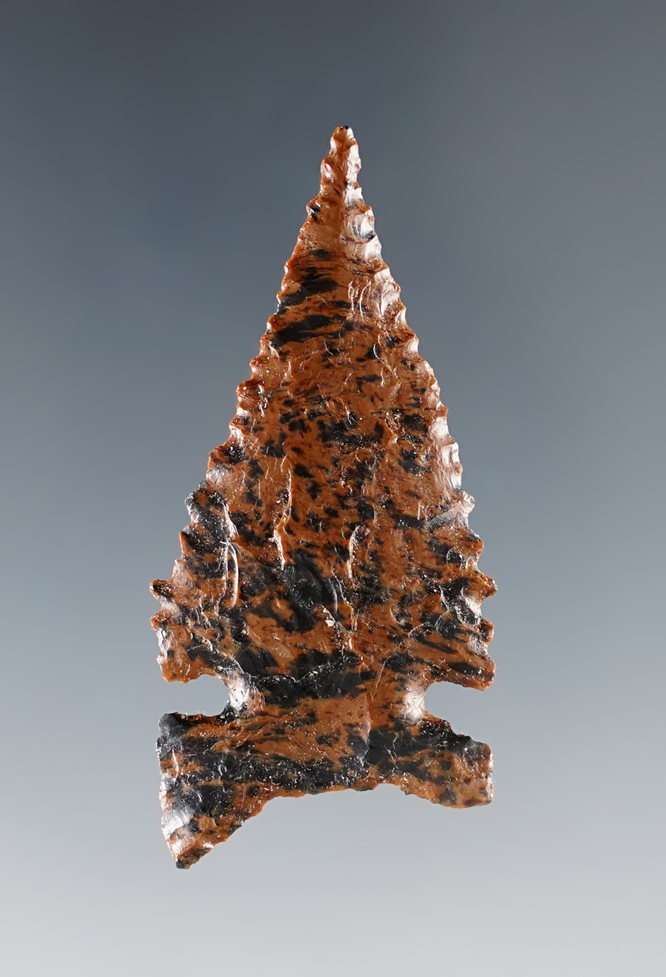 Main artifact image
