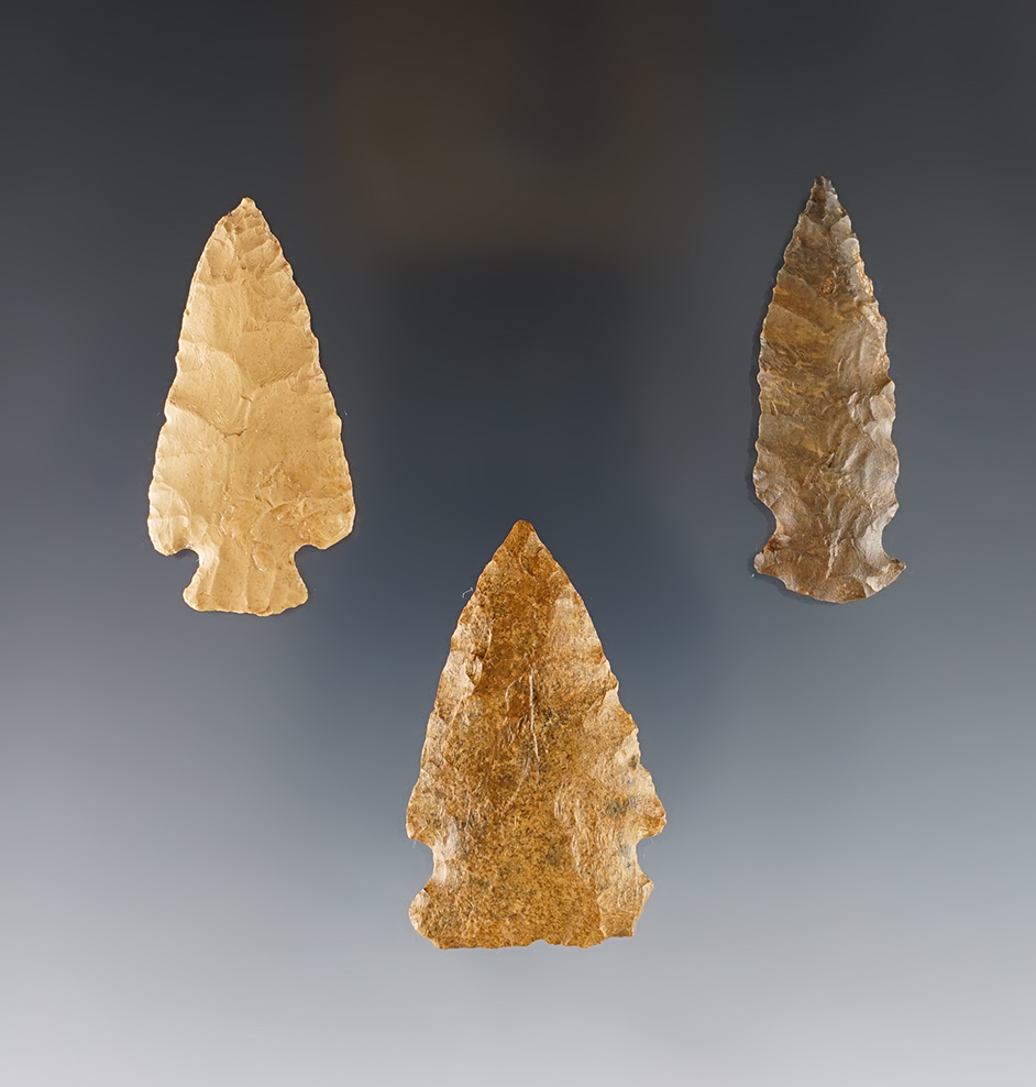 Main artifact image