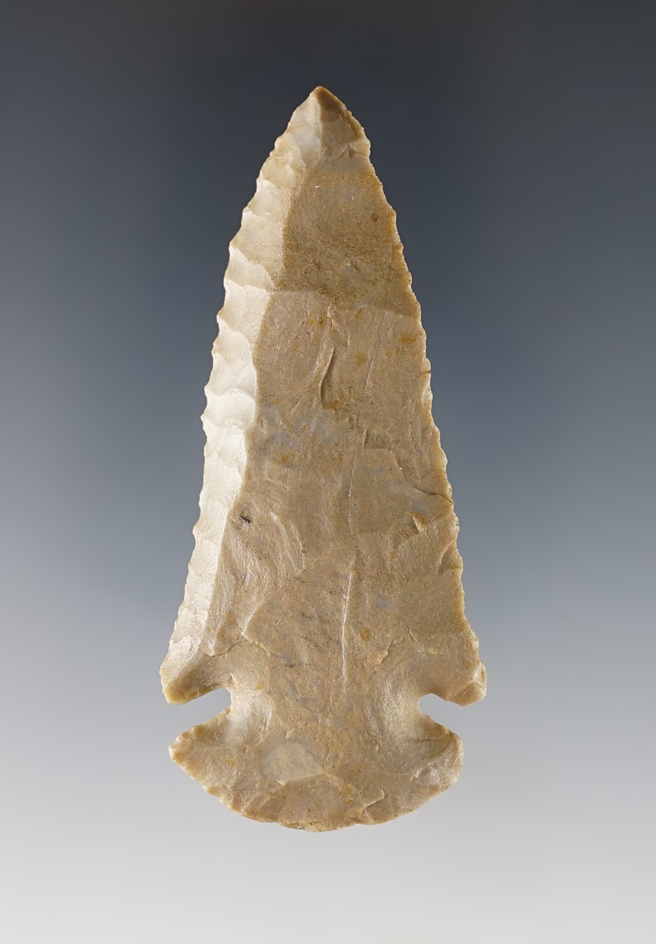 Main artifact image