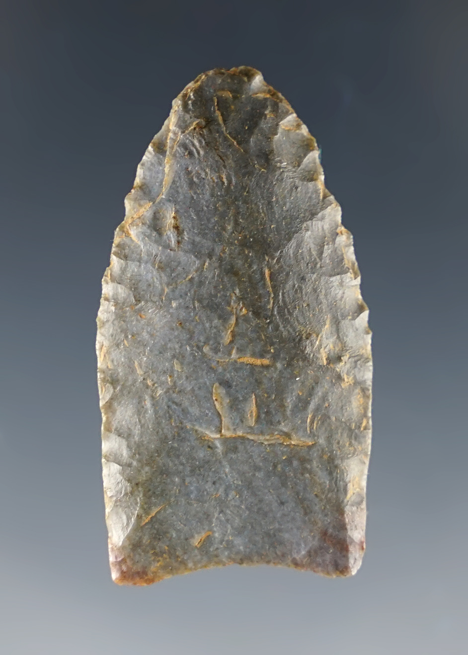 Main artifact image